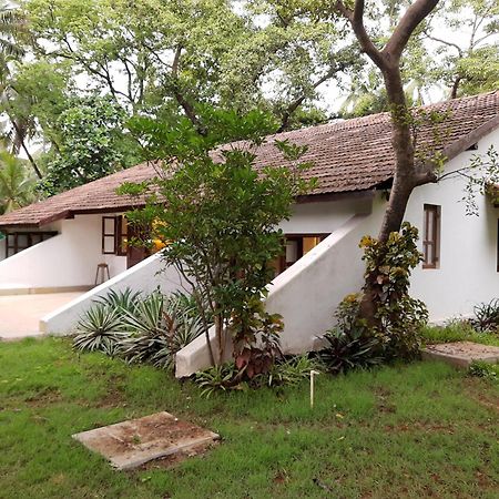 Banyan House - Luxurious 4 Bedroom Villa On One Acre, Near The Beach Nagaon  Exterior photo