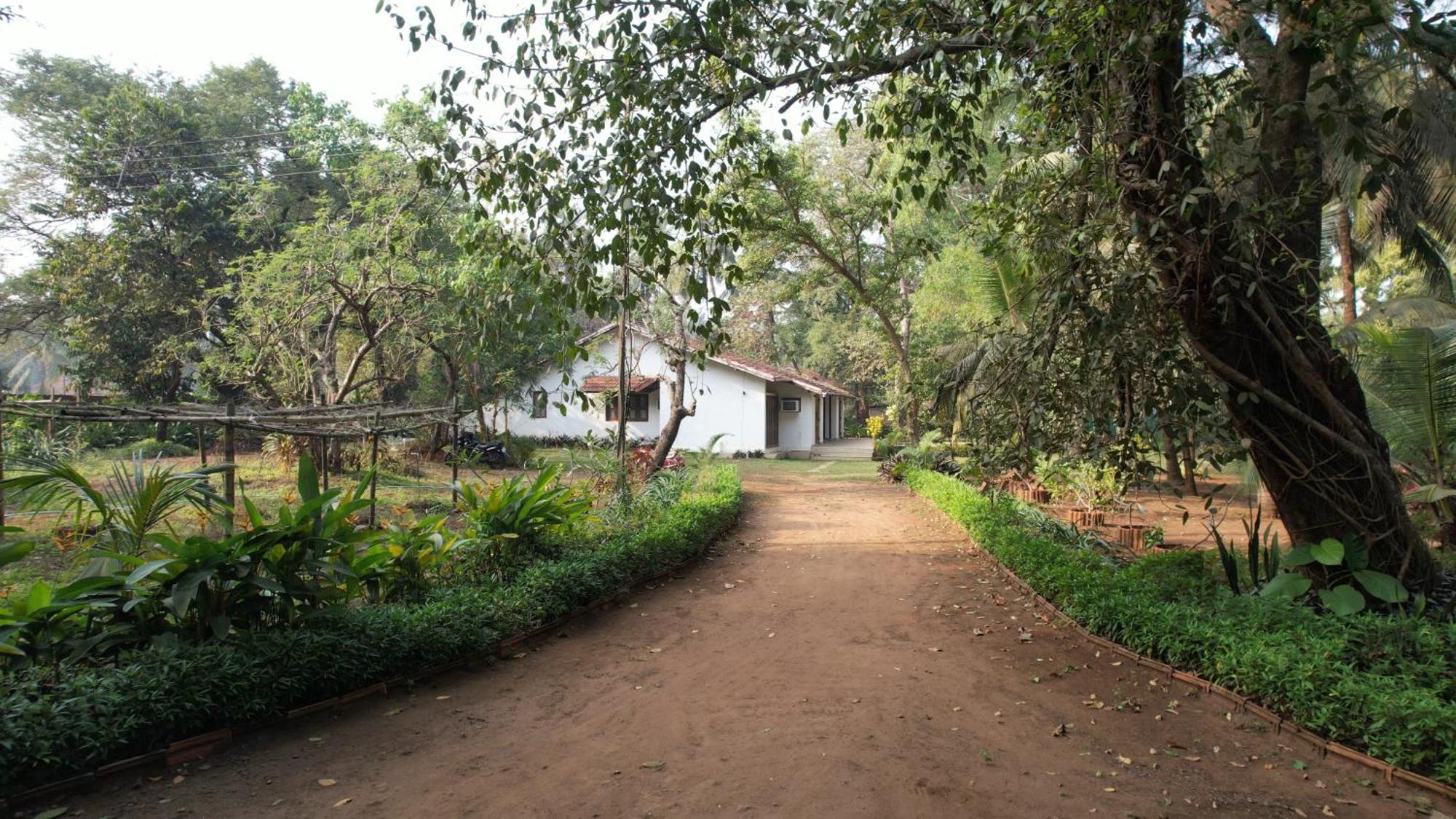 Banyan House - Luxurious 4 Bedroom Villa On One Acre, Near The Beach Nagaon  Exterior photo